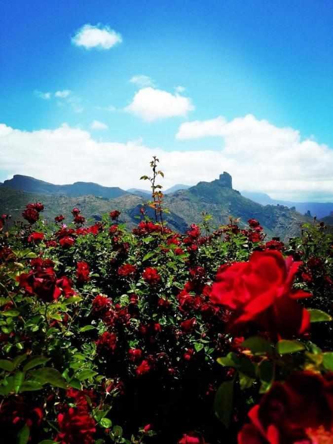 El Rincon Del Nublo ξενώνας Tejeda  Εξωτερικό φωτογραφία