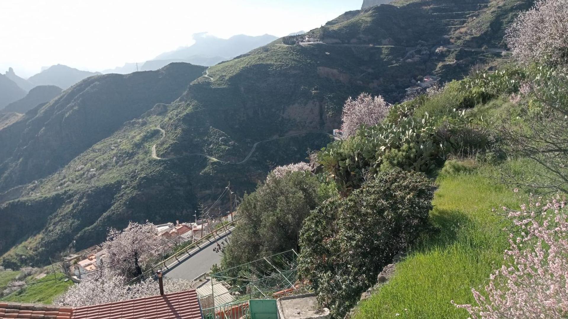 El Rincon Del Nublo ξενώνας Tejeda  Εξωτερικό φωτογραφία